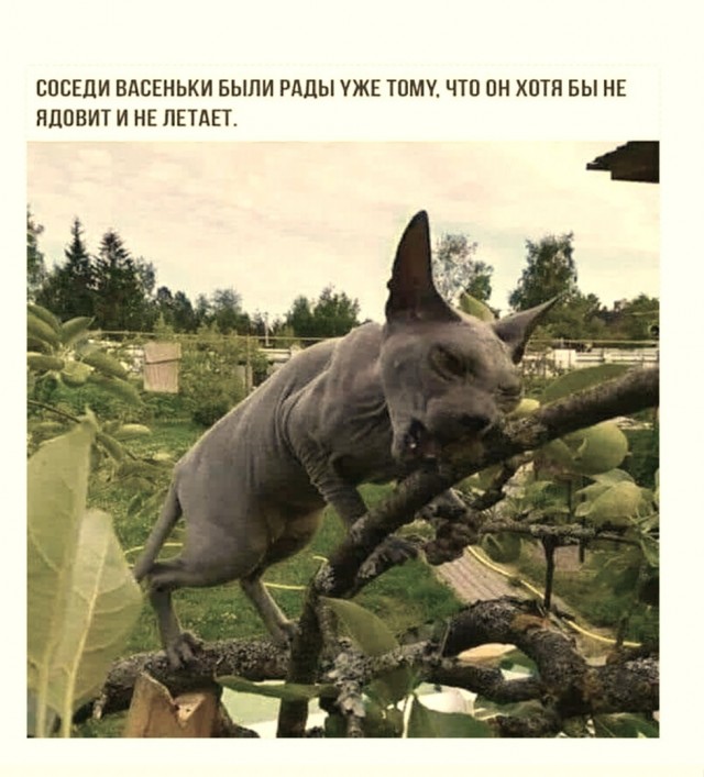 Так себе картинки 19.03.22
