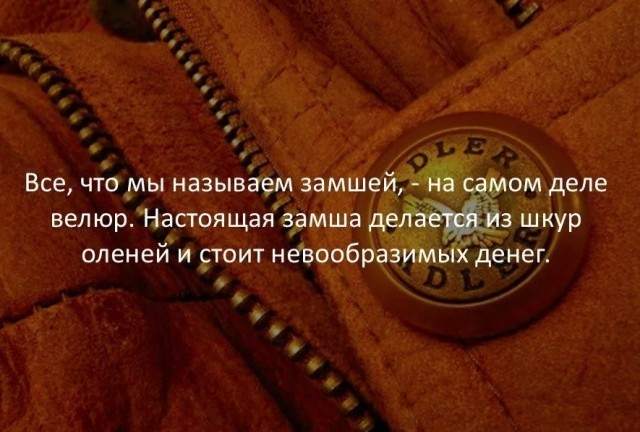 70 удивительных фактов