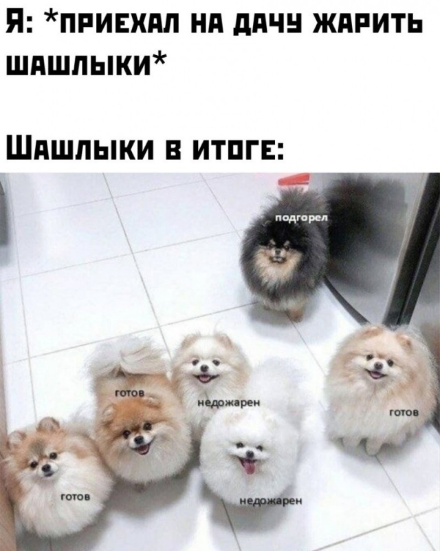 Юмор и приколы из социальных сетей