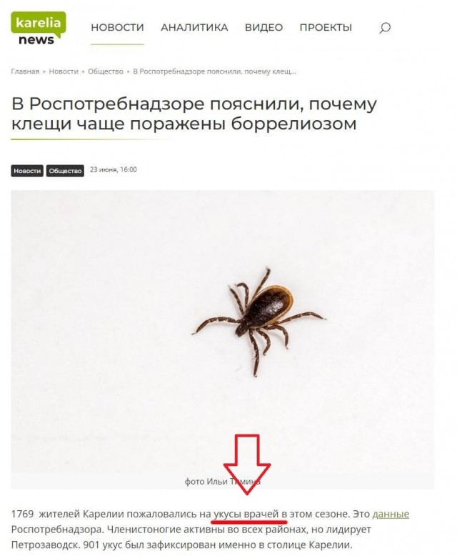 Пандемия съехавших крыш - разновидности болезни. Россия и мир. Часть 37