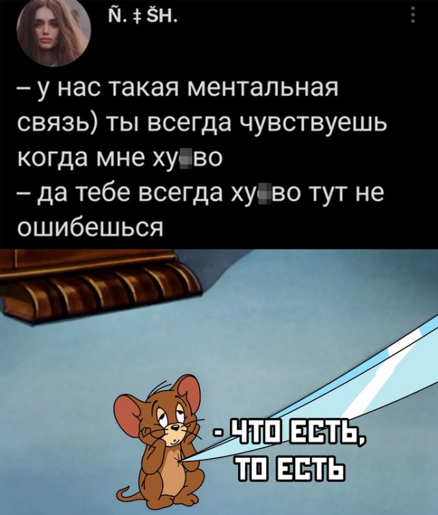 Весёлый полтишок 08.07.22