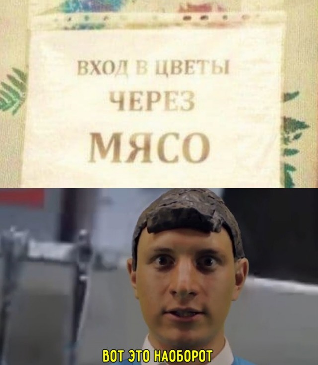 Картинки и мемы для настроения. Выходные рядышком...