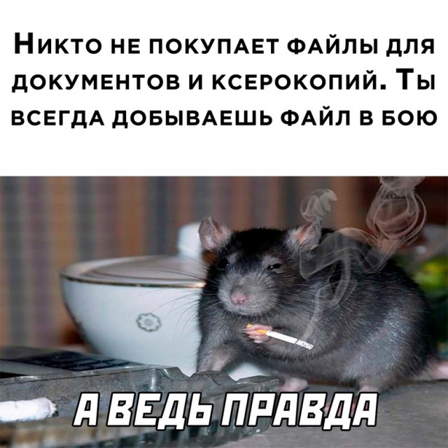 Картинки и мемы, всем хороших выходных