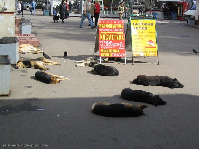 Побывал в Москве - такую дырищу еще поискать...
