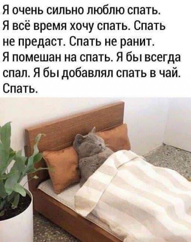 Картинки и мемы для настроения - 119