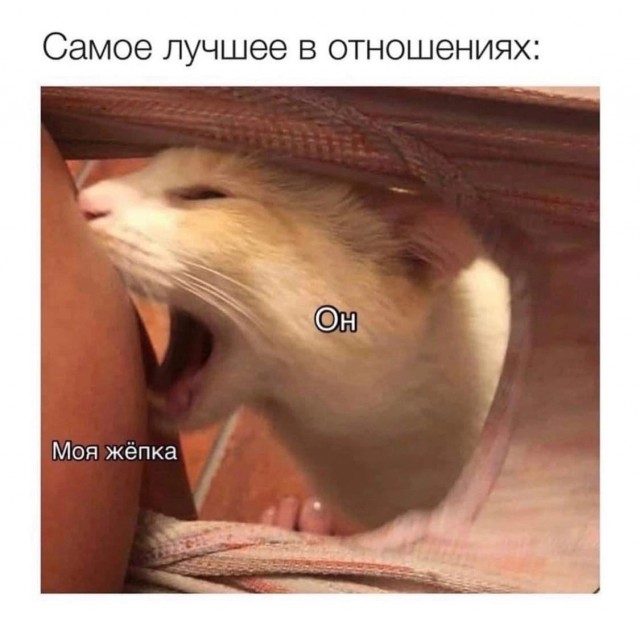 Немного картинок для настроения - 117