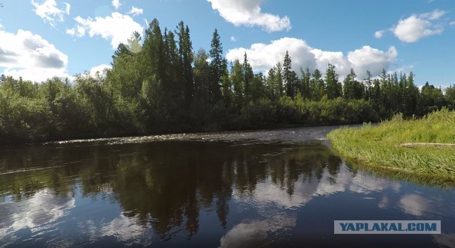 Тайга: страшные истории. Часть 3