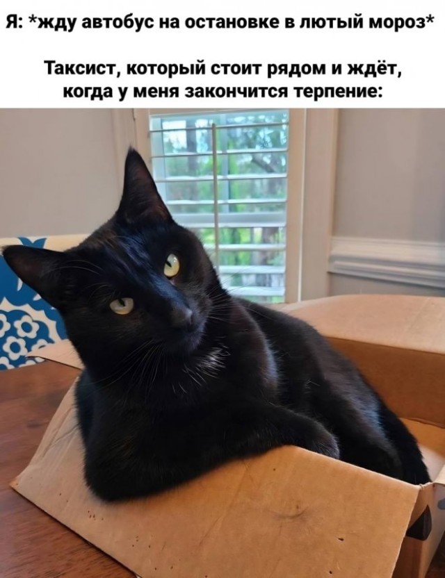 Немного картинок для настроения