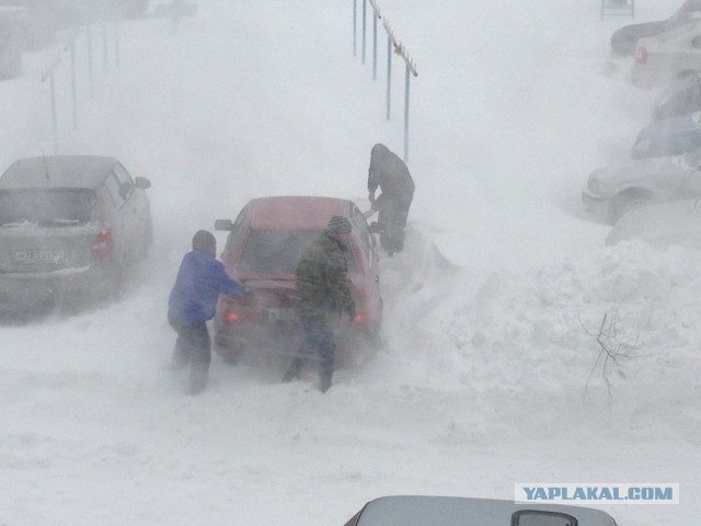 Весна пришла,весне дорогу!