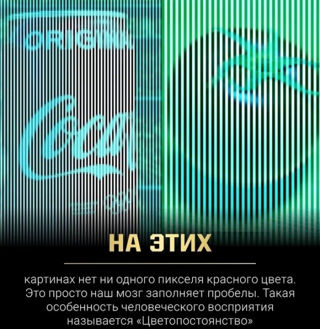 Антидальтоническая картинка