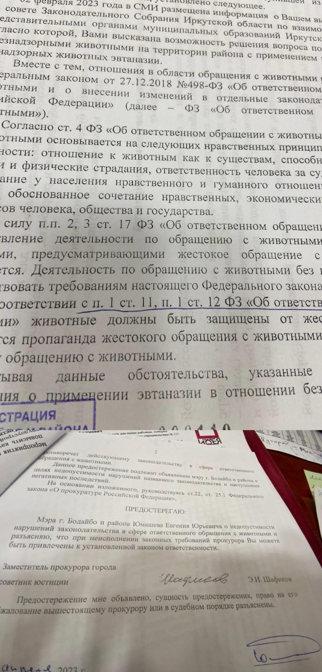 Сергей Иванов предложил усыплять бродячих собак, которых после отлова не берут из приютов.