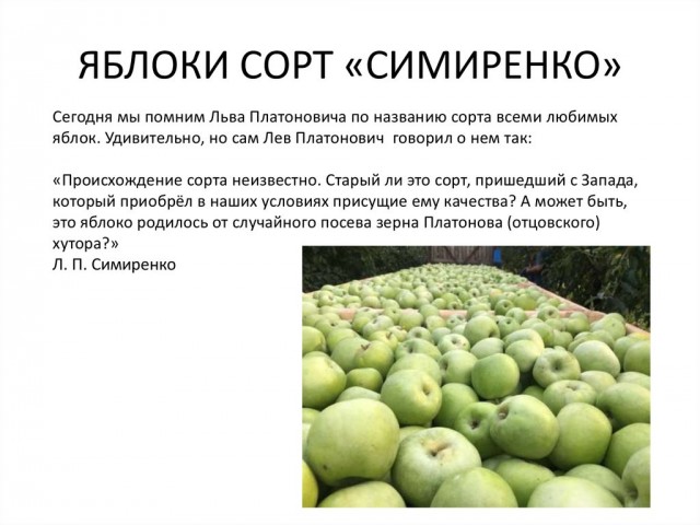 «Сидит бабушка, делать нечего и начинает придумывать»
