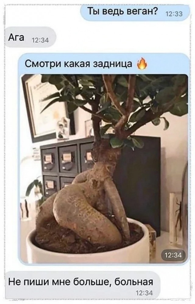 Немного мемчиков. Для взрослых. Часть 30