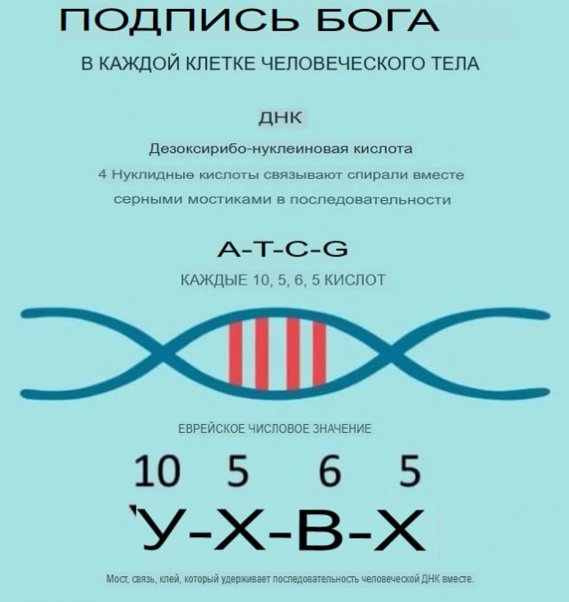 Победная поступь идиотизма по планете – том 15