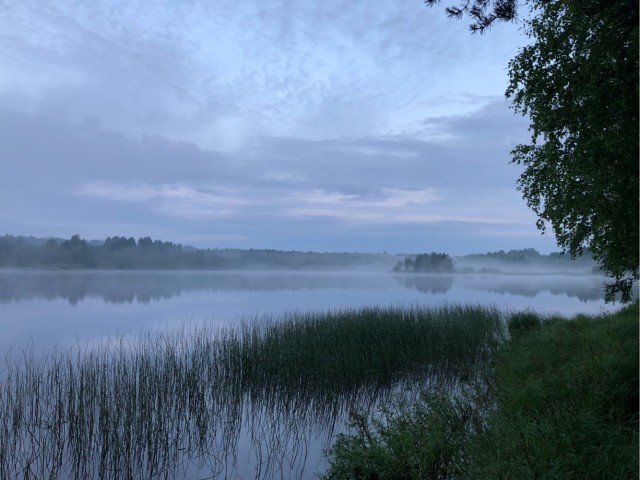 На пляжах Анапы закончились не только лежачие, но и сидячие места. Загорать там можно только стоя