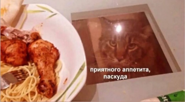 Отряд быстрого деградирования