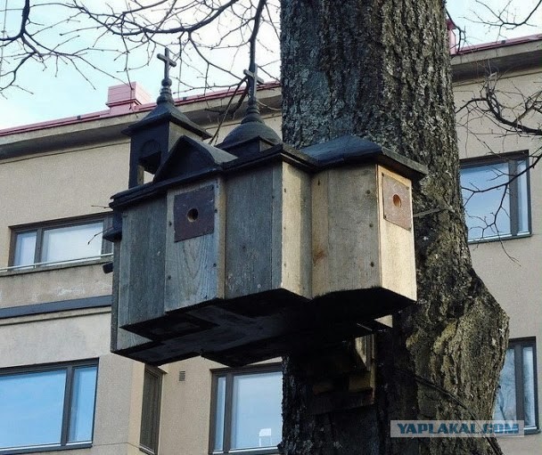 Храм Скворца Спасителя