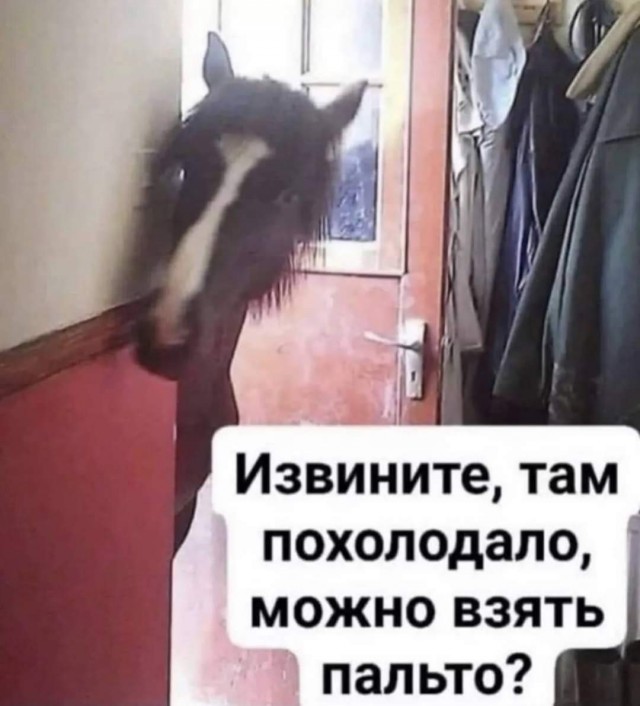 Маленькая пятница