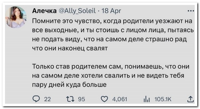 Забавные комментарии из социальных сетей (25.12.23)