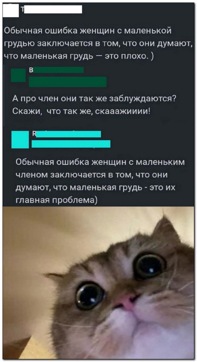 Забавные комментарии из социальных сетей (06.05.24)