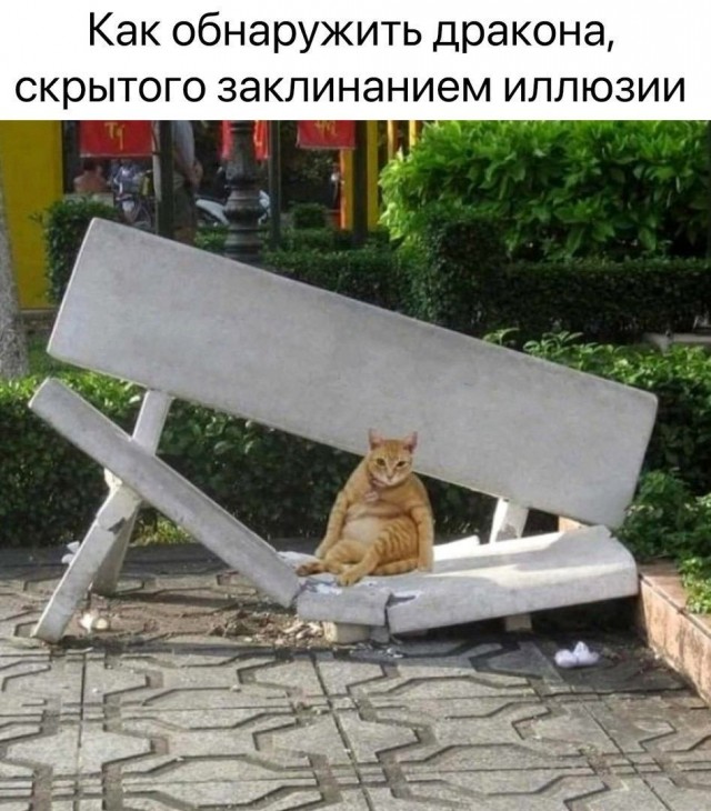 Так себе картинки 08.05.24