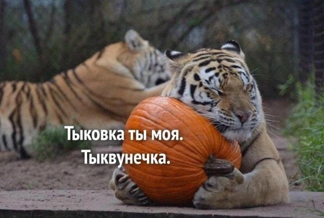 Так себе картинки 19.05.24