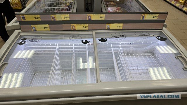 Кому шоколадного мороженого?