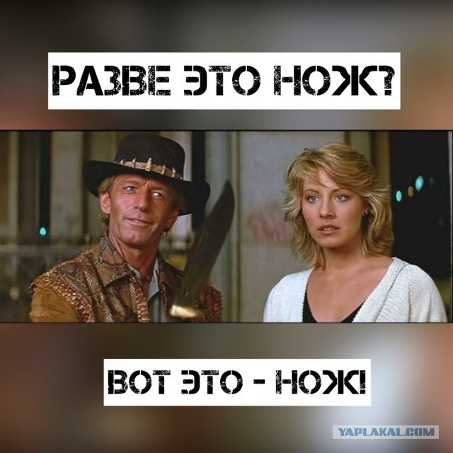Poгoзин предложил разрешить свободное ношение opужия для poccиян