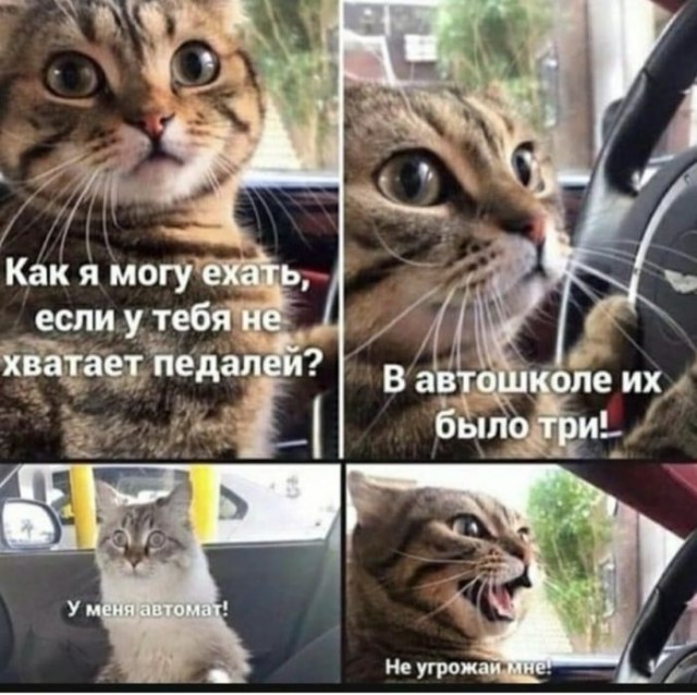 Веселые картинки к пятнице (27.09)