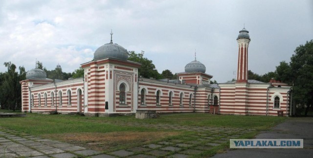 120 лет назад, 29 сентября 1904 года, родился Николай Алексеевич Островский – писатель-легенда