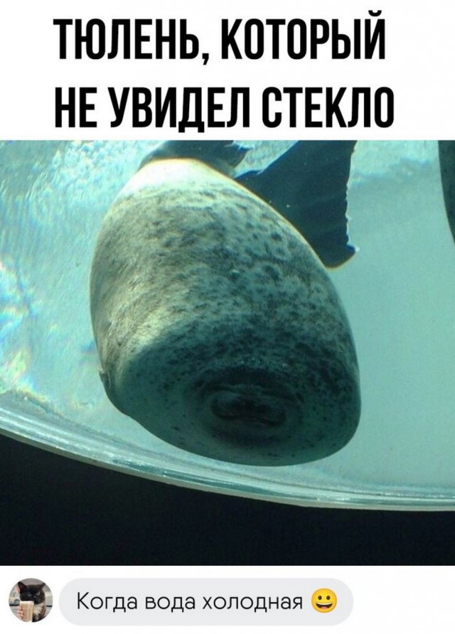 Нуштош 25.10.2024
