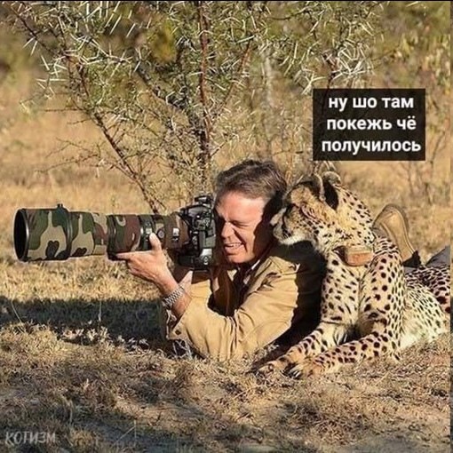 Я и фотогеничность