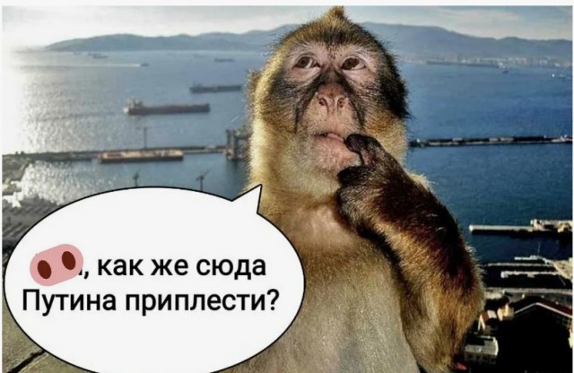"Палка с двумя концами"