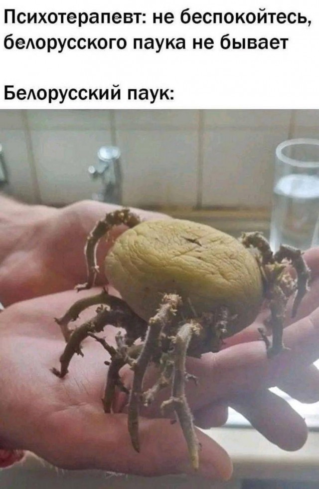 Веселые картинки в понедельник (20.01)
