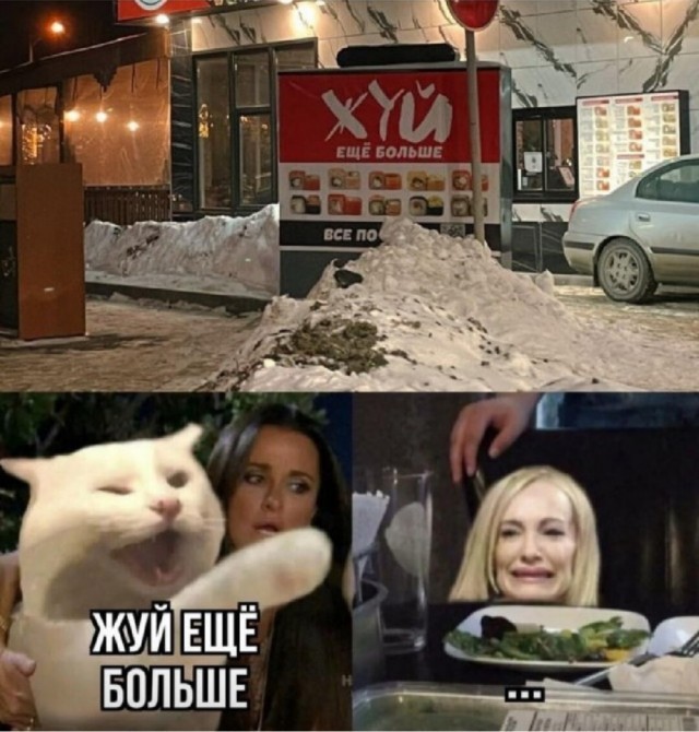 К котовторнику: подборка картинок-баянов с котиками и про котиков