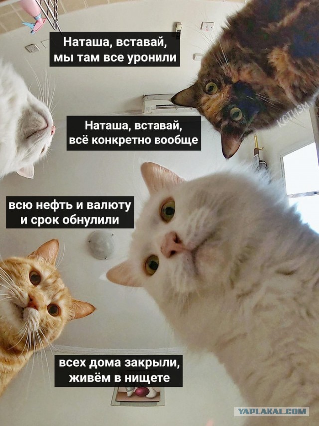 Молодцы детки!
