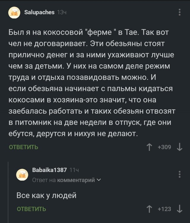 Рабочие обезьяны⁠⁠
