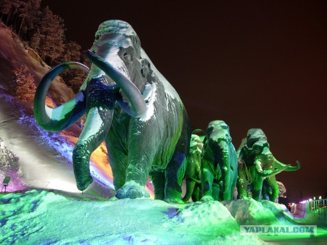 Вахта на Севере