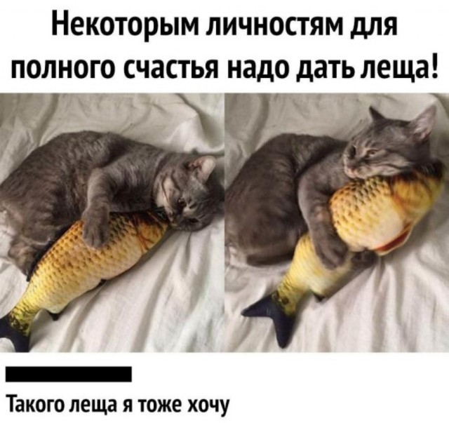 Так себе картинки 01.05.25