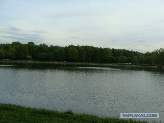 Кусково 15.05.2025