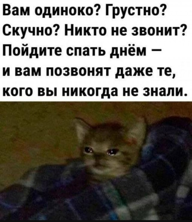 Так себе картинки 08.06.25