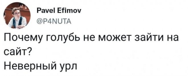Веселые картинки в пятницу (01.08)