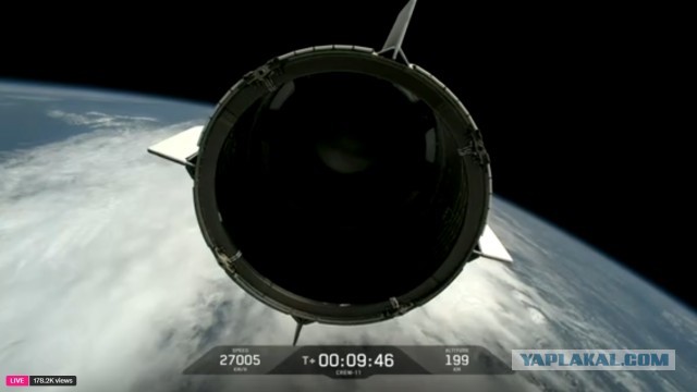 Трансляция запуска миссии Crew-11 с Олегом Платоновым