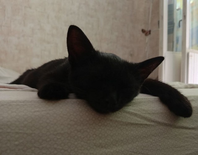 Его первый вторник