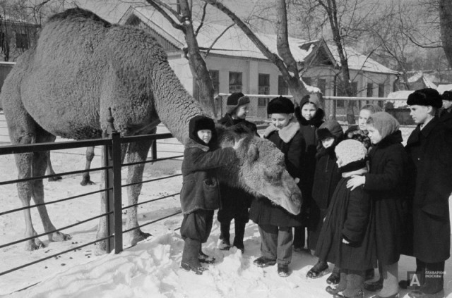 ​ Фотографии из прошлого нашей страны – 115