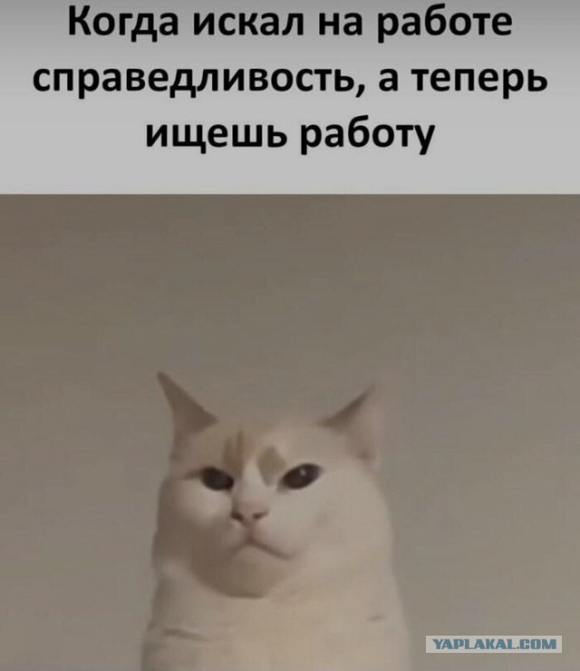 Прикол⁠⁠