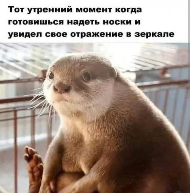 Так себе картинки 02.10.25