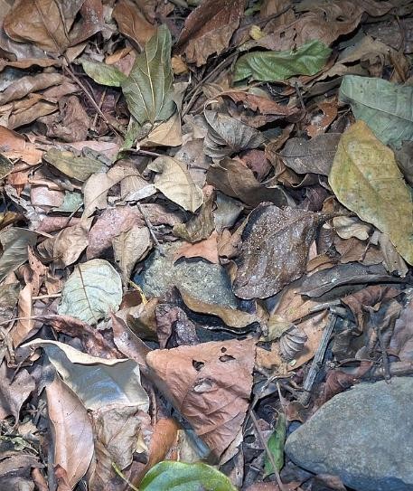 Картинка с загадкой