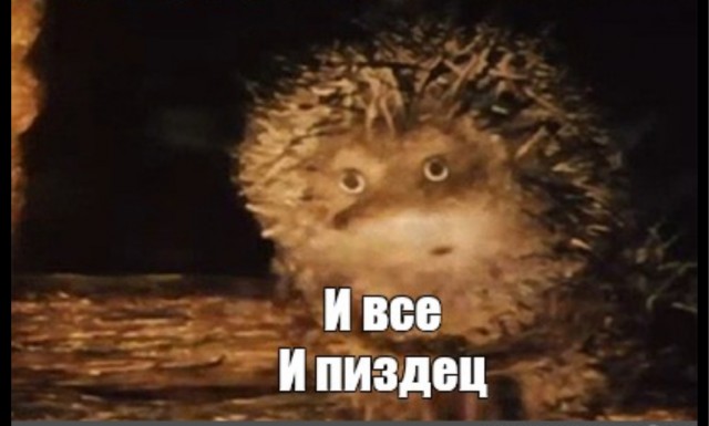 Ничего необычного, просто тест дешёвого парашюта с Amazon