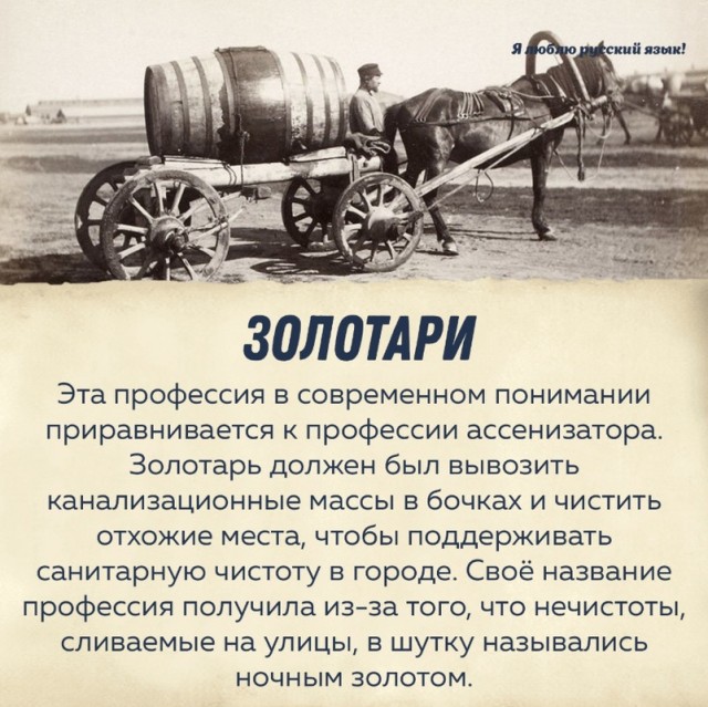 "Должны знать президент и Белоусов": Мигранты 300 раз подумают, стоит ли трогать человека в погонах. Скандал в Камышине докатился до фронта